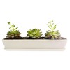 Clound city White Ceramic Long Rectangular Succulent Flower Planter Pot