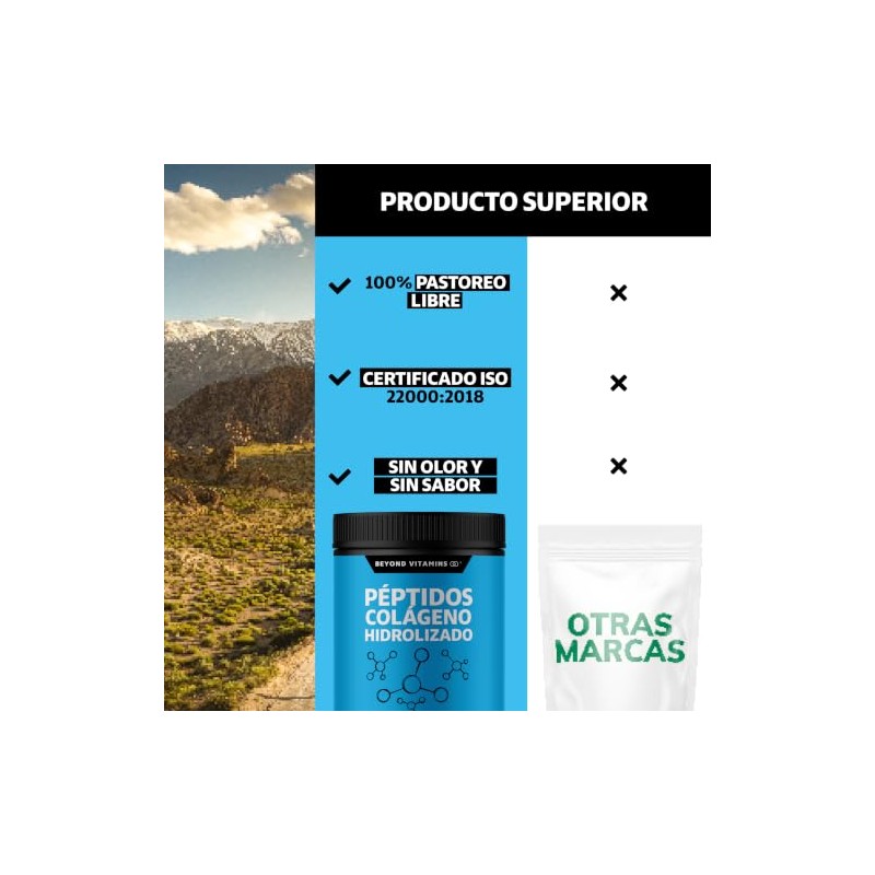 Péptidos Colágeno Hidrolizado Tipo I & III Beyond Vitamins (300