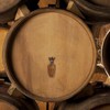 iplusmile Set di 2 rubinetti per fusti di birra in
