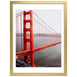 Frametory, 18x24 Picture Frame - Made to Display Pictures 16x20 with Mat or 18x24 Without Mat - Wide Molding - Pre-Installed Wall Mounting Hardware (Gold, 1 Pack)