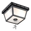 c cattleya 2-Light Motion Sensor Ceiling Light Fixture Outdoor Flush