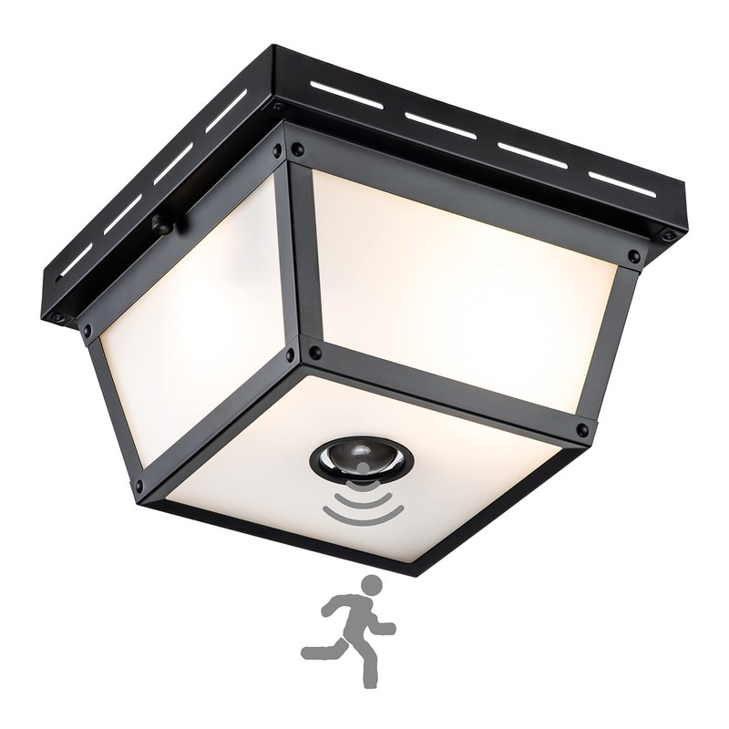 c cattleya 2-Light Motion Sensor Ceiling Light Fixture Outdoor Flush