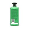Herbal Essence Conditioner Biolino Aloe & Bamboo 14.1 oz (400