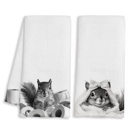 BAYOGITA Funny Squirrel Decor Bathroom Hand Towels Gifts, Gifts for Squirrel Lovers, Cute Animal Decorative Hand Towels for Kids Bathroom Washroom Restroom, 16x24 Inch Set of 2