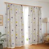 Suminoe A1001 Curtain Gray, 39.4 x 53.1 inches (100 x