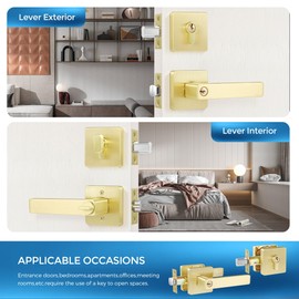 Leydebong 1 Pack Gold Door Handleset with Single Cylinder Deadbolt Entry Lever Door Handle and Deadbolt Lock and Key Combo Pack Heavy Duty Door Lock for Left or Right-Handed Doors