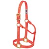 Weaver Leather Average Horse or Yearling Draft Original Non-Adjustable Halter,