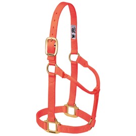 Weaver Leather Average Horse or Yearling Draft Original Non-Adjustable Halter, Blaze Orange, 1"
