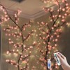 FIALAME DIY Cherry Enchanted Willow Vine Lights,7.55 FT 144 LED