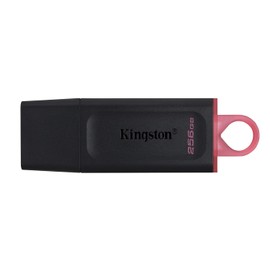 Kingston DataTraveler Exodia DTX/256GB Flash Drive USB 3.2 Gen 1 - with Protective Cap and Keyring in Multiple Colours