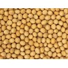 Premium Grade Non-GMO Soybeans (5 Pounds) - Great for Soy