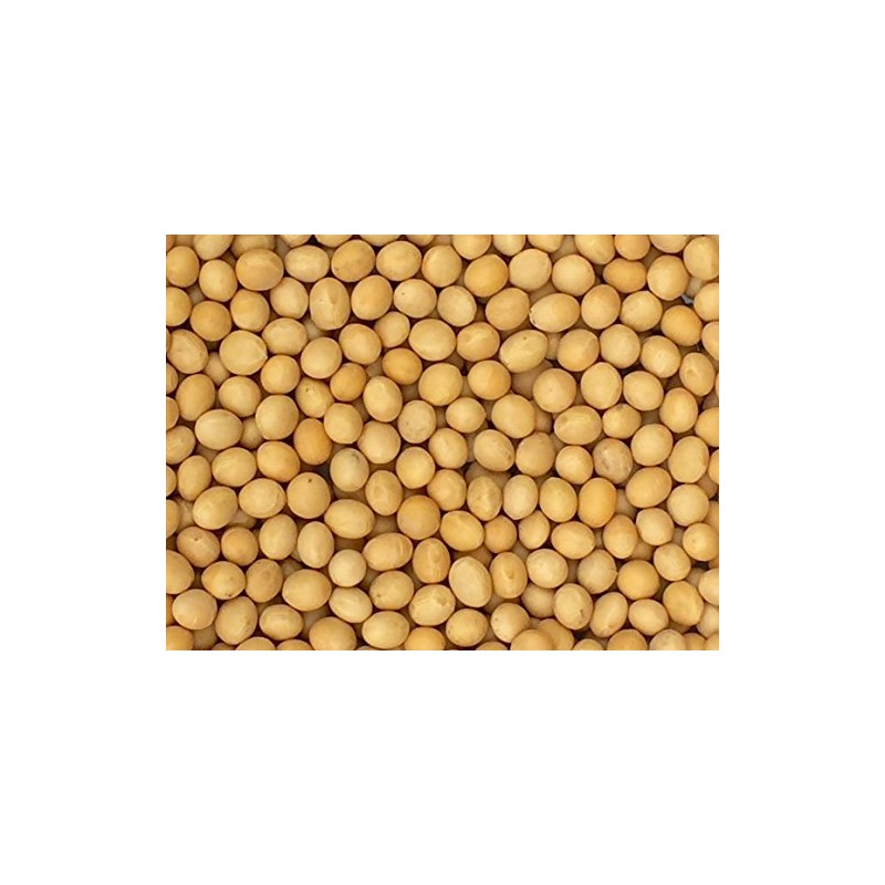 Premium Grade Non-GMO Soybeans (5 Pounds) - Great for Soy