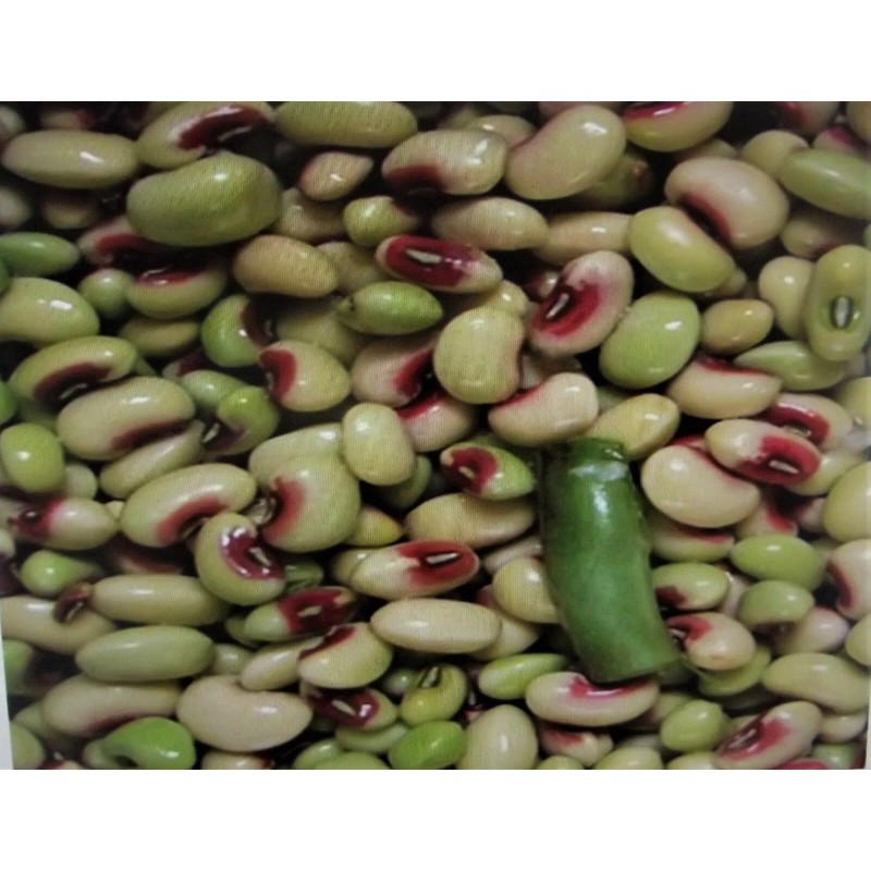 Wax 1000+ seed 1/2 lb Top Pick Pinkeye Purple Hull