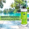 Lo-Phos Max Phosphate Remover Pool - Reduces Chlorine Demand and