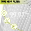 Senowi 2 PCS HP201 HP202 Replacement Filter Compatible with Shark