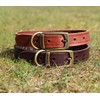 Ancol Latigo Flexible Stretchy Dog Collar Chestnut Leather Pet Training