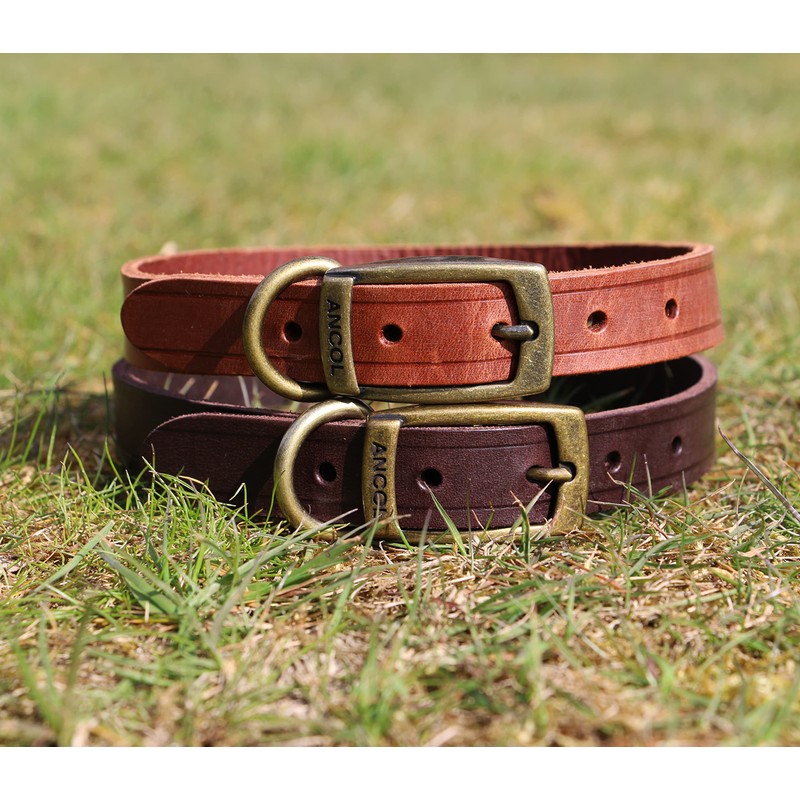 Ancol Latigo Flexible Stretchy Dog Collar Chestnut Leather Pet Training