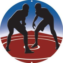 Crown Awards Wrestling Gold Rhinestone Pin, Gold Wrestling Pins, 50 Pack Prime