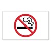 CafePress No Smoking Rectangle Bumper Sticker Car Decal