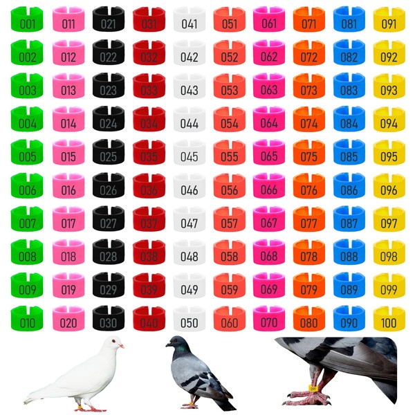 100Pcs 8mm Numbered Pigeon Leg Bands with 8 Color, Quail