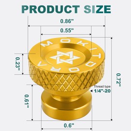 MoKitDora 2PCS Solo Seat Nuts Rear Fender Bolts Mount Screws 1/4"-20 Thread for Harley 1997-later Softail Touring Street Electra Road Glide King, Gold