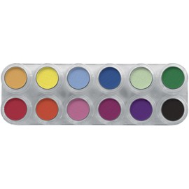 Rouge/Eyeshadow Palette 12 Color Ra