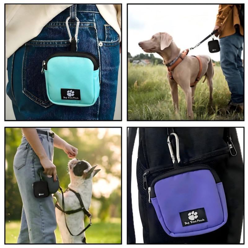 FLYING TAIL Dog Training Pouch, Waist Pack for Outdoor Pet