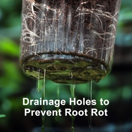 WandaQueen 30 Packs 5 Inch Reinforced Clear Nursery Pots for Plants with Drainage Holes, High Transparency Plastic Seedling Plant Pot with 20 Labels