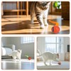 Keggaen Interactive Rolling Cat Toy Balls, Automatic Cat Toy Interactive