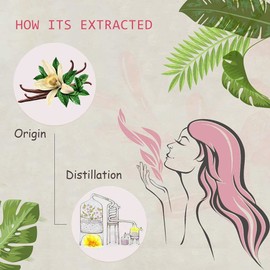 2-Pack Vanilla Essential Oil - 100% Pure Organic Natural Plant (Vanilla planifolia) Vanilla Oil for Diffuser, Aromatherapy, Spa, Massage, Yoga, Perfume, Body - 2x10ML