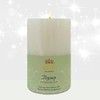 Abba Oil Scented Pillar Candle - Hyssop (4'') 1 pk