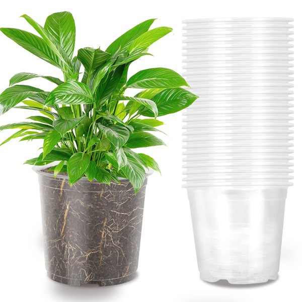 OUPSAUI 36 Pack 7 Inch Clear Nursery Pots, 1 Gallon