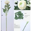 Artificial Ranunculus Flowers with Real Touch Stem, Silk Ranunculus Flowers