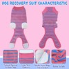 Dog Surgery Recovery Suit, Recovery Shirt for Male Female Dog