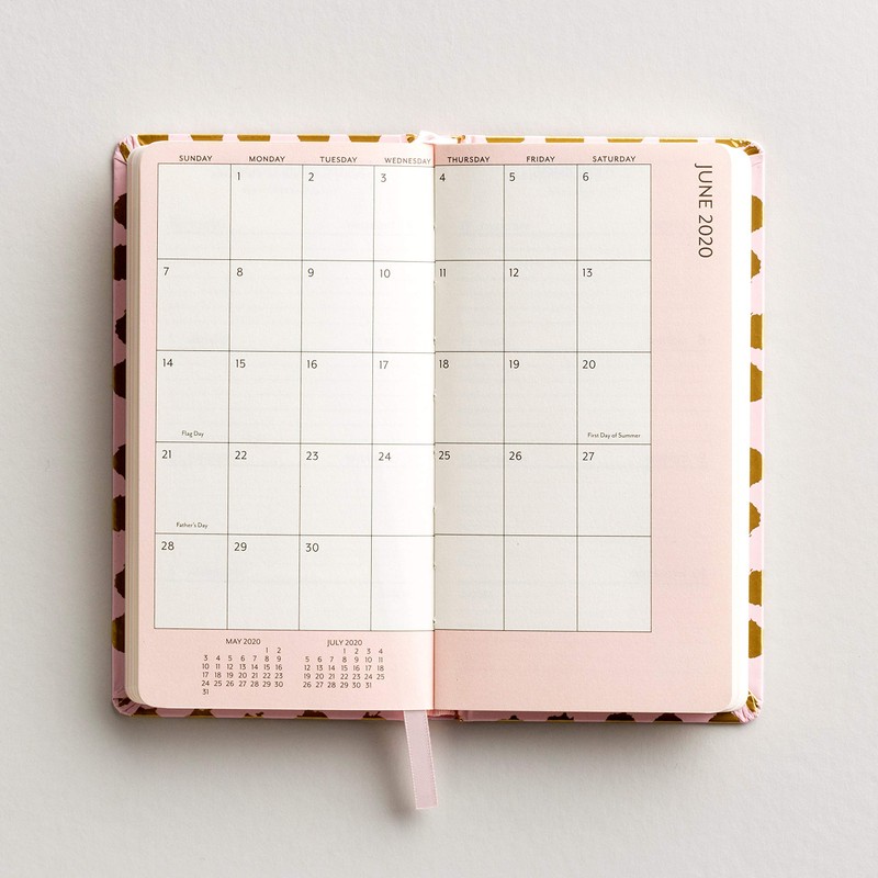 Dayspring Dots - 2020 Premium Pocket Planner (J0084)