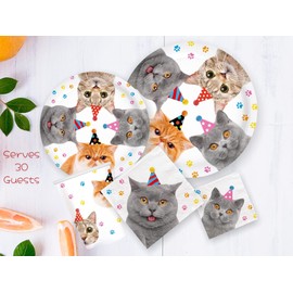 Serves 30 Complete Party Pack Cat Theme Party Supplies Includes Plates, Cups, Napkins , Table Covers, Balloons, Happy Birthday Banners, Swirls, Ideal for Cat Birthday party supplies