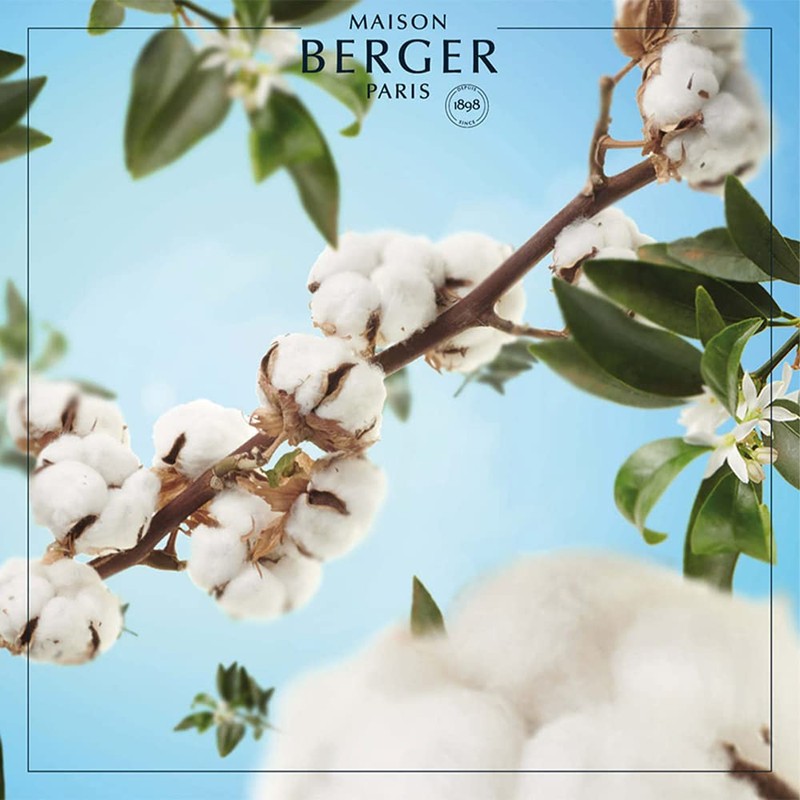 Lampe Berger Raumduft Nachfüllpack, Caresse De Coton / Baumwollblüte, 500