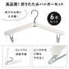 Craci Folding Portable Hangers, Set of 6, Lightweight, Compact, Portable,