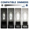 FLSNT 100W Equivalent LED Edison Bulbs, 5000K Daylight, 12W Dimmable
