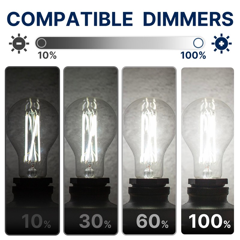 FLSNT 100W Equivalent LED Edison Bulbs, 5000K Daylight, 12W Dimmable