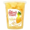 Nature's Finest Pineapple Chunks in Juice 400g - Pack of 2