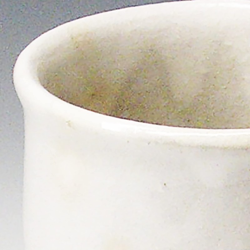 Japanese Ceramics T92130250 Tsubaki Hidekiln Silver Ash Tea Cup (Large)