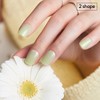 Dessing Diva x Spring Breeze Short Nails 4 Types /