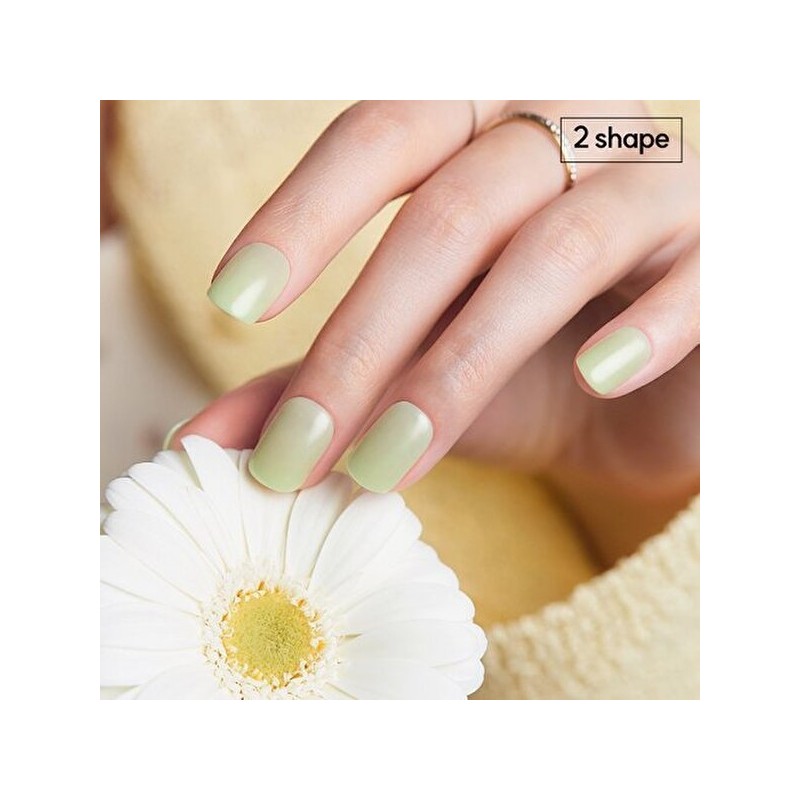 Dessing Diva x Spring Breeze Short Nails 4 Types /