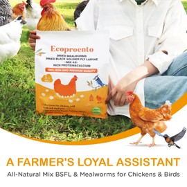 Auciccoo Ecoproento 2 lbs Dried Mealworms - Premium Organic Non-GMO Chicken Hens Dried Mealworms - High Protein & Calcium for Wild Birds & Chicken Treats for Laying Hens