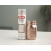 Krylon Spray Paint White Copper Metallic Spray Paint 8 Oz.