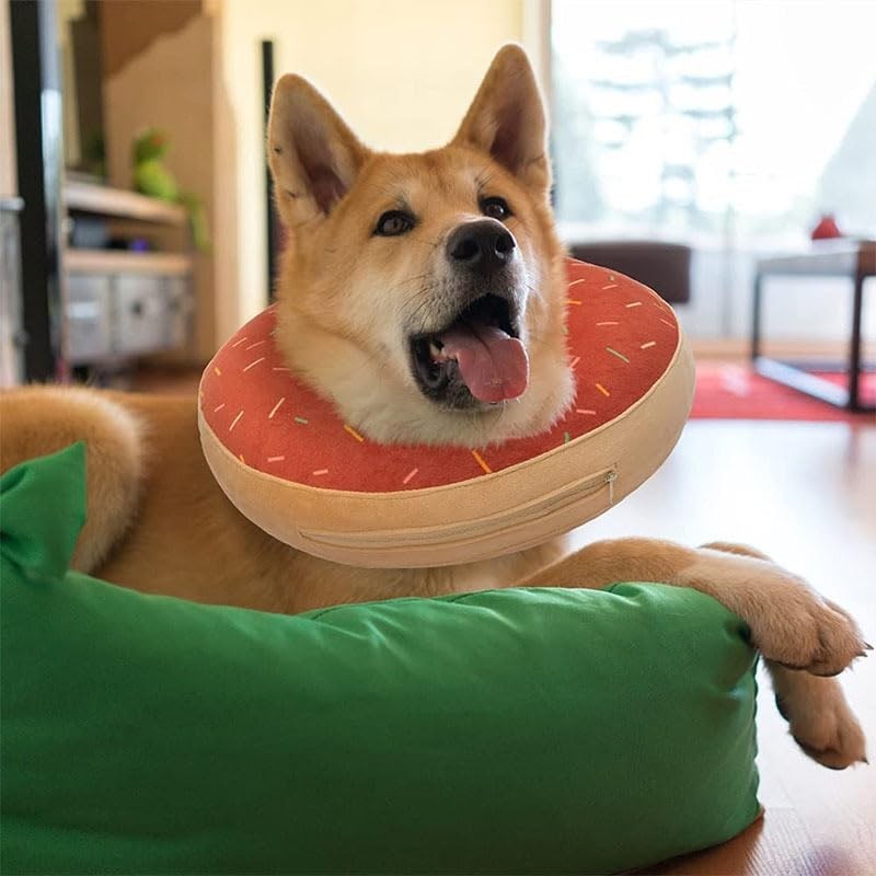 WZDK Collar Inflable de Recuperación para Perro,Ajustable Collar de Protección