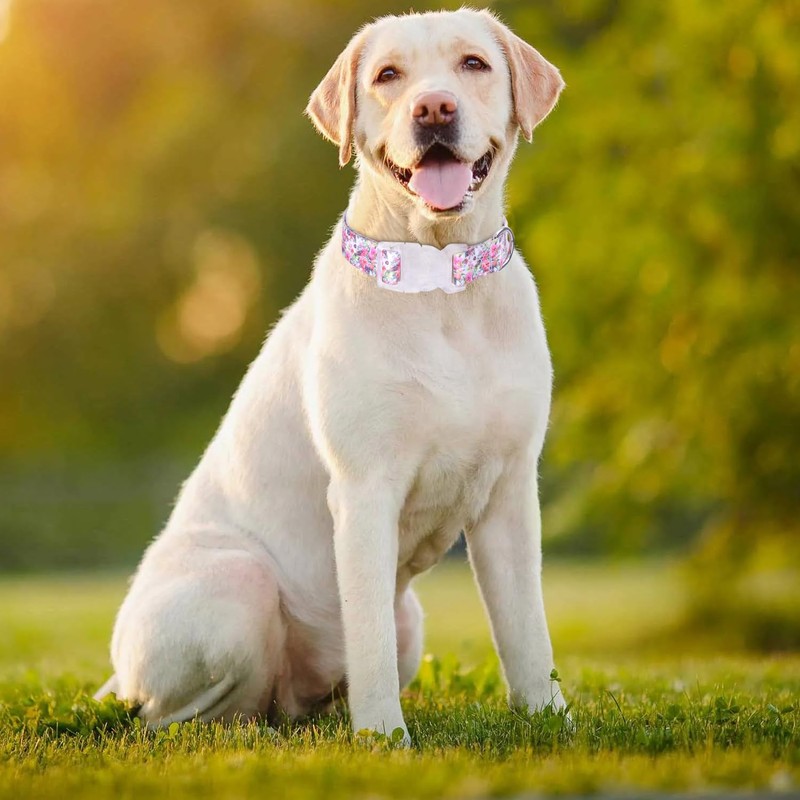Bbmmayy Adjustable Dog Collar, Special Design Patterns, Soft Nylon Comfortable