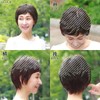Gray Hair Kakushi Whole Type Dark Brown