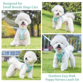 PETPUBGNZS Cute Plaid No Pull Dog Harness for Small Dogs Soft Mesh Small Dog Harness and Leash Set Easy Walk Step in Puppy Harness Vest Pet Cat Chihuahua Yorkie Shih Tzu Dog Harnesses (Green,XXS)